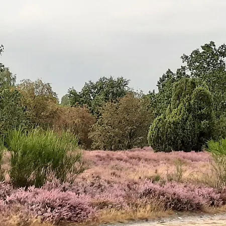 Minna Von Fintel Casa de Férias Schneverdingen