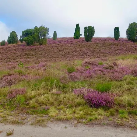 Minna Von Fintel Casa de Férias Schneverdingen