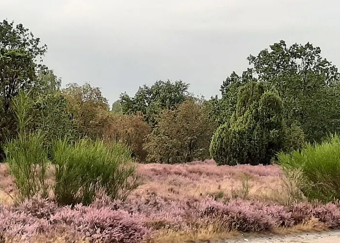 Minna Von Fintel Semesterbostad Schneverdingen